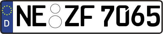 NE-ZF7065