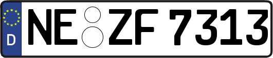 NE-ZF7313