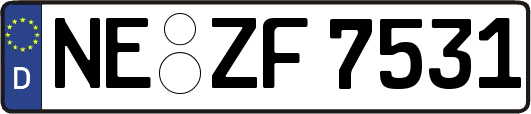 NE-ZF7531