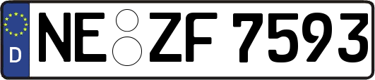 NE-ZF7593