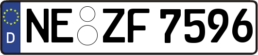NE-ZF7596