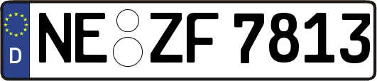 NE-ZF7813