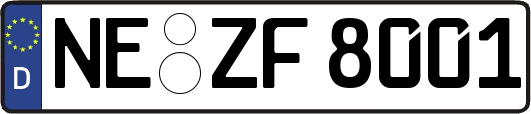 NE-ZF8001
