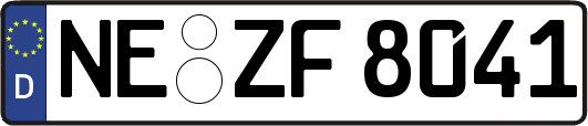 NE-ZF8041