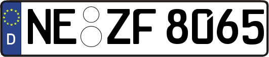 NE-ZF8065