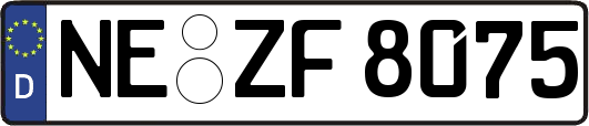 NE-ZF8075
