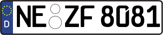 NE-ZF8081
