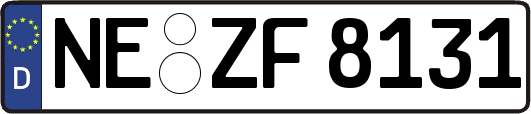 NE-ZF8131