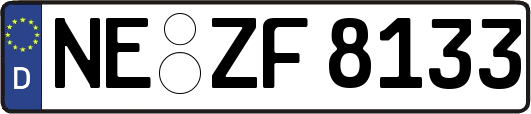 NE-ZF8133
