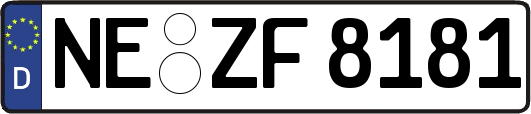 NE-ZF8181