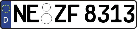 NE-ZF8313