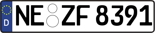 NE-ZF8391