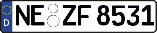 NE-ZF8531