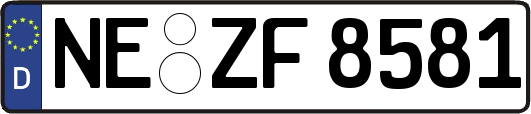 NE-ZF8581