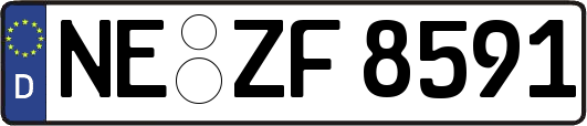 NE-ZF8591
