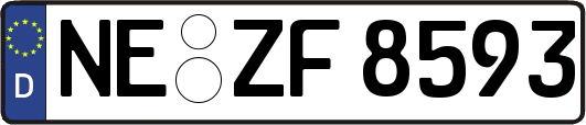 NE-ZF8593