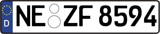 NE-ZF8594