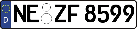 NE-ZF8599