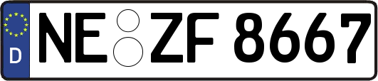 NE-ZF8667
