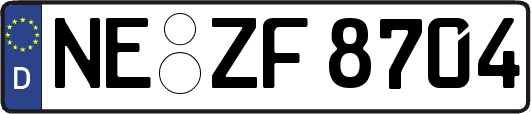 NE-ZF8704