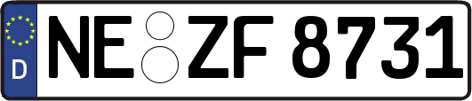 NE-ZF8731