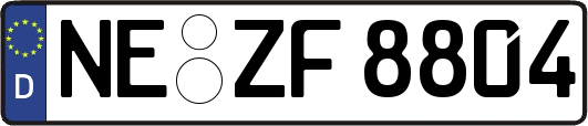 NE-ZF8804