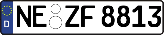 NE-ZF8813