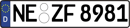 NE-ZF8981