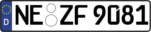 NE-ZF9081