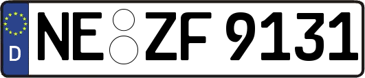 NE-ZF9131