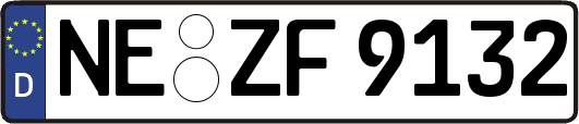 NE-ZF9132