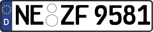 NE-ZF9581