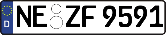 NE-ZF9591