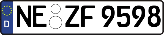 NE-ZF9598
