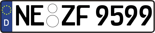 NE-ZF9599