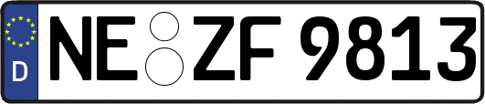 NE-ZF9813