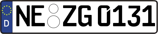 NE-ZG0131