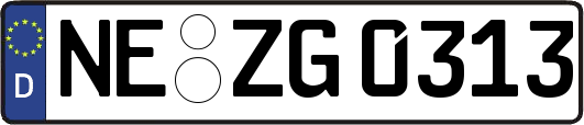NE-ZG0313