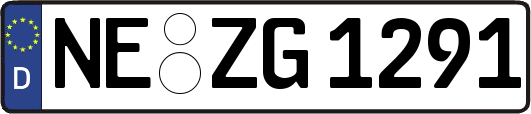 NE-ZG1291