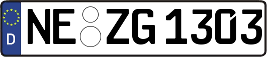 NE-ZG1303