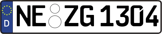 NE-ZG1304