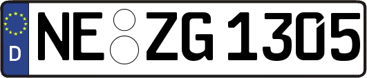 NE-ZG1305