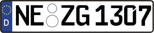 NE-ZG1307