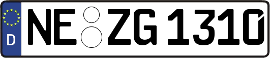 NE-ZG1310
