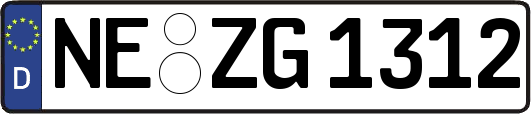 NE-ZG1312