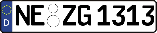 NE-ZG1313