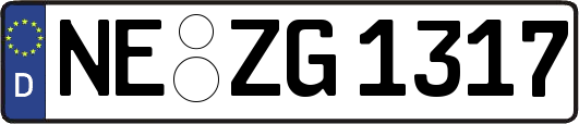 NE-ZG1317