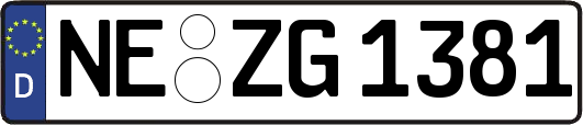 NE-ZG1381