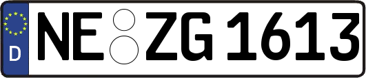 NE-ZG1613