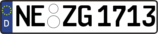 NE-ZG1713